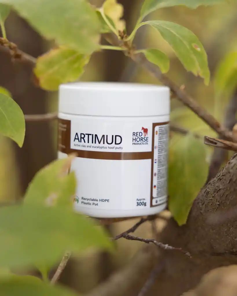 masilla antibacteriana artimud, de red horse