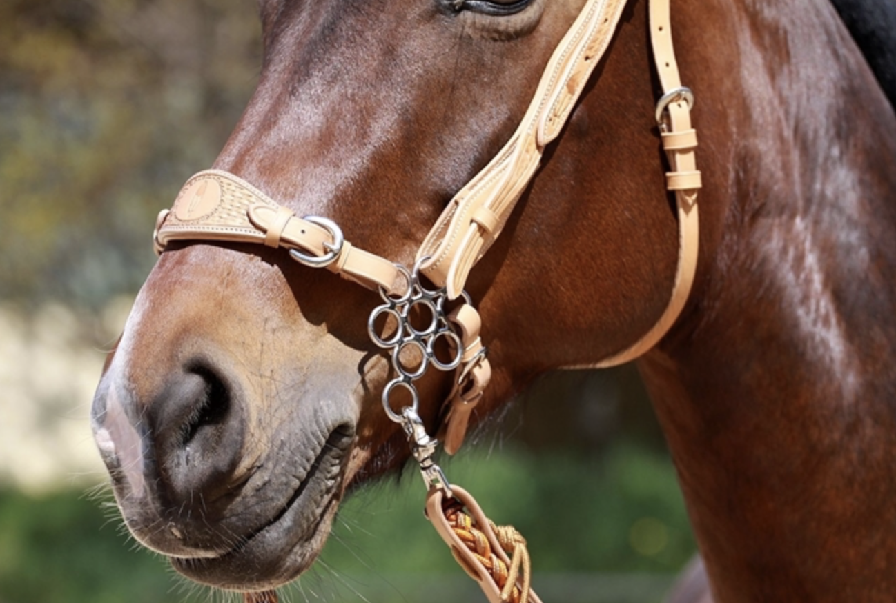 Muserola Barefoot - Imagen 5