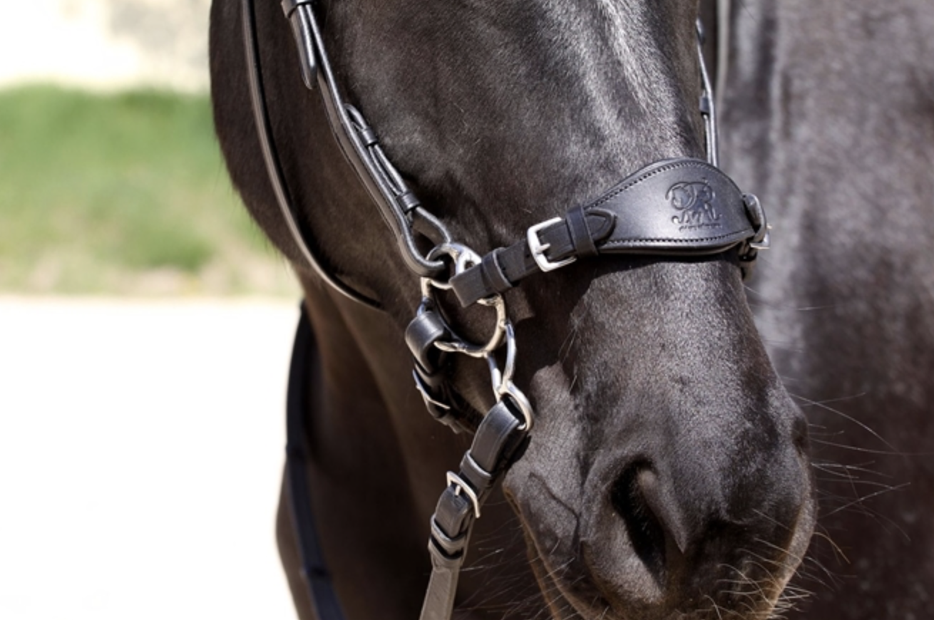 Muserola Barefoot - Imagen 6