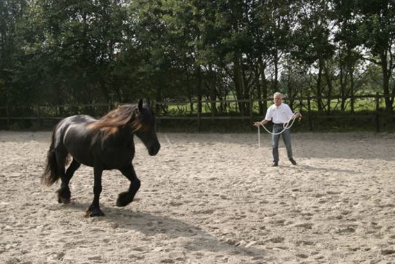 Cuerda de trabajo - Imagen 2