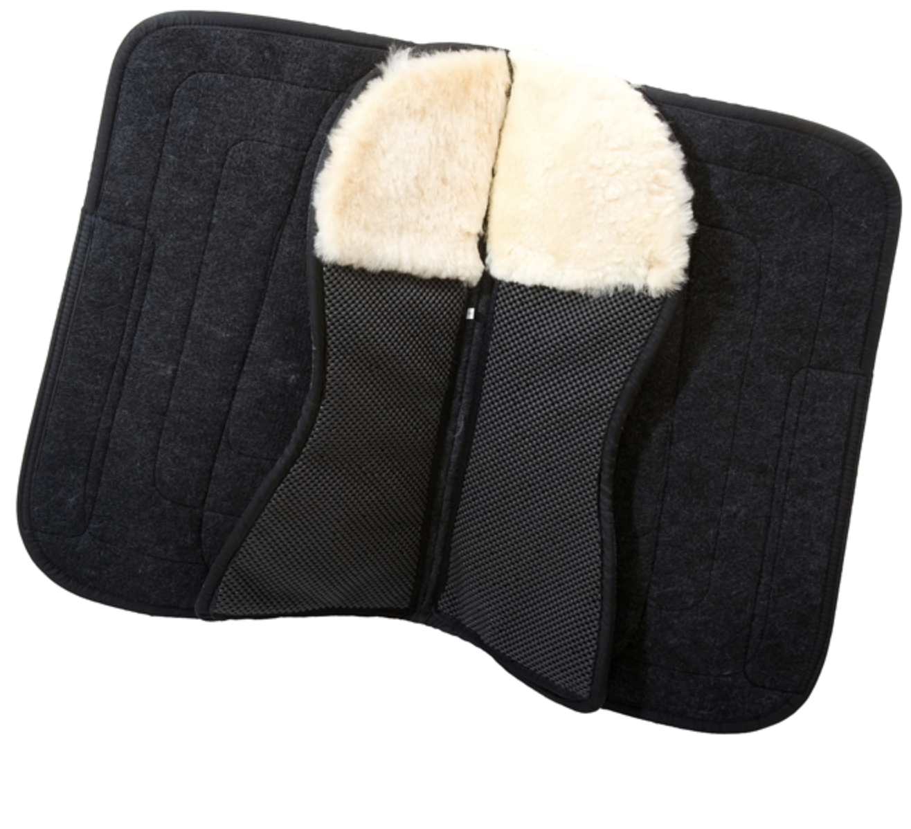 Sudadero Physio - Imagen 3