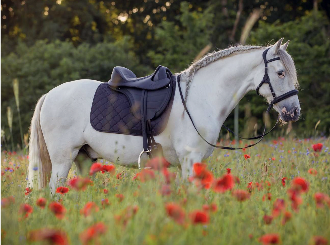 brida contour physio vegitex®