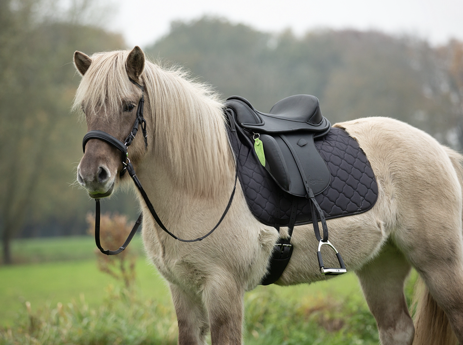 montura barefoot merlyn vegitex®