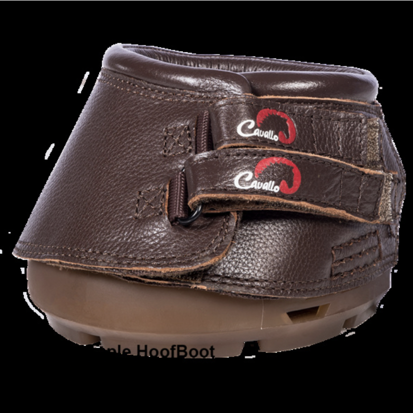 botas para el caballo simple