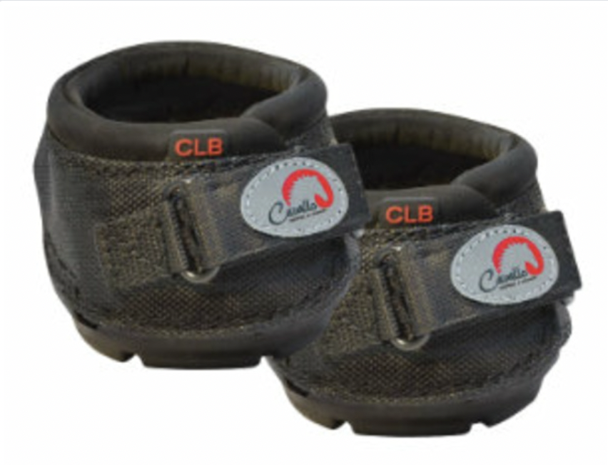 botas para el caballo clb